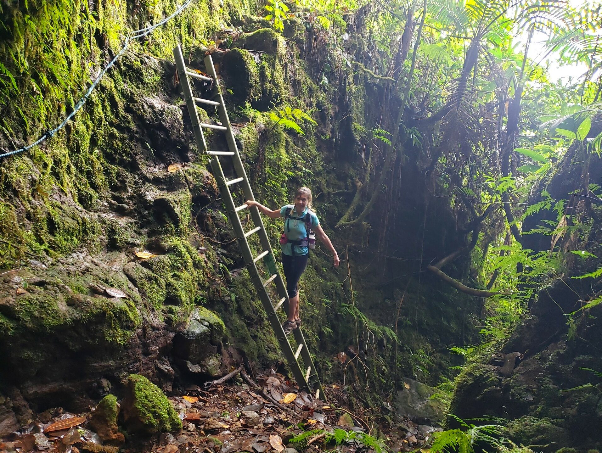 Wanderung Trace Victor Hugues Guadeloupe