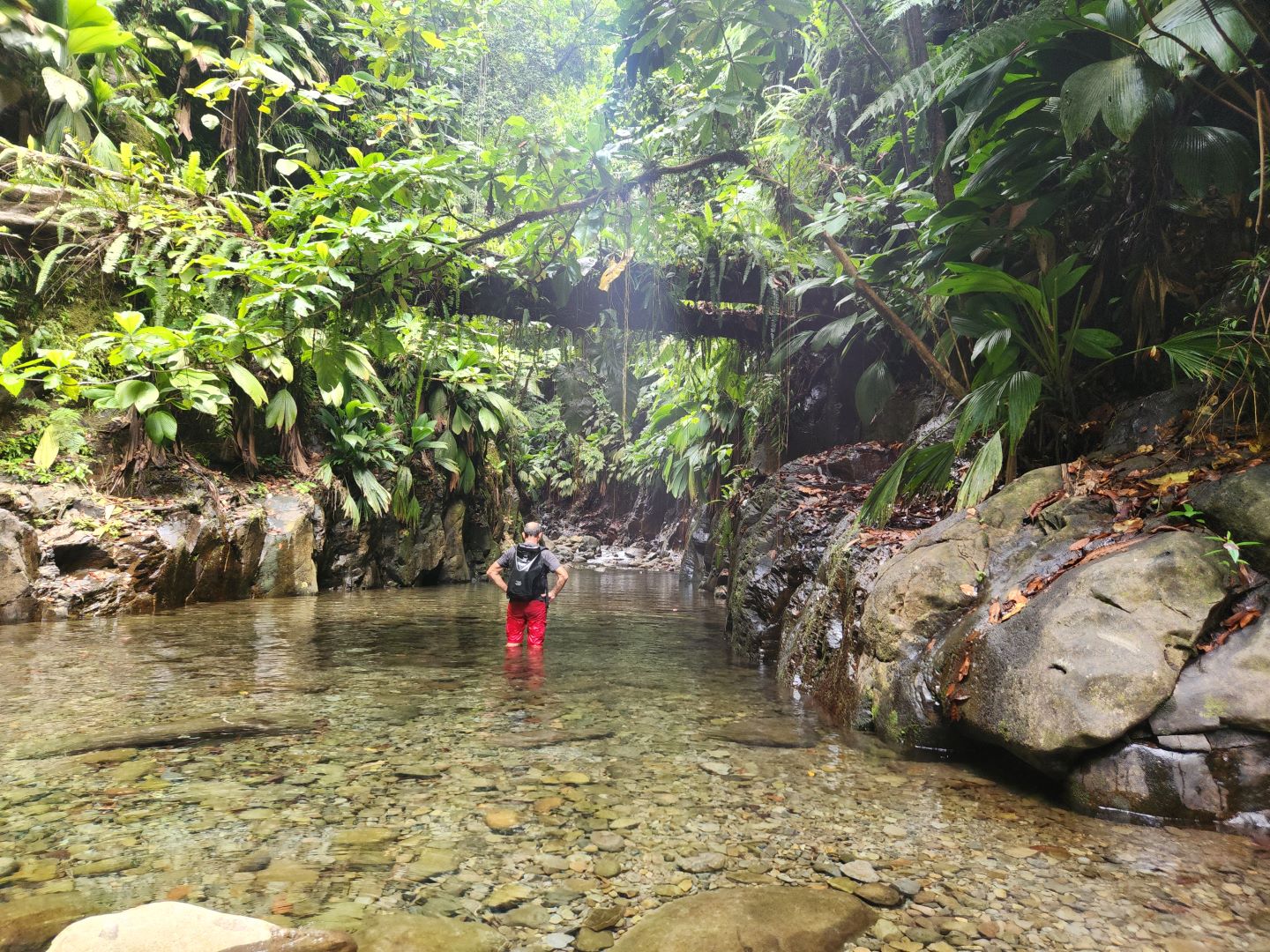 Moustique Canyon, Petit Bourg Guadeloupe