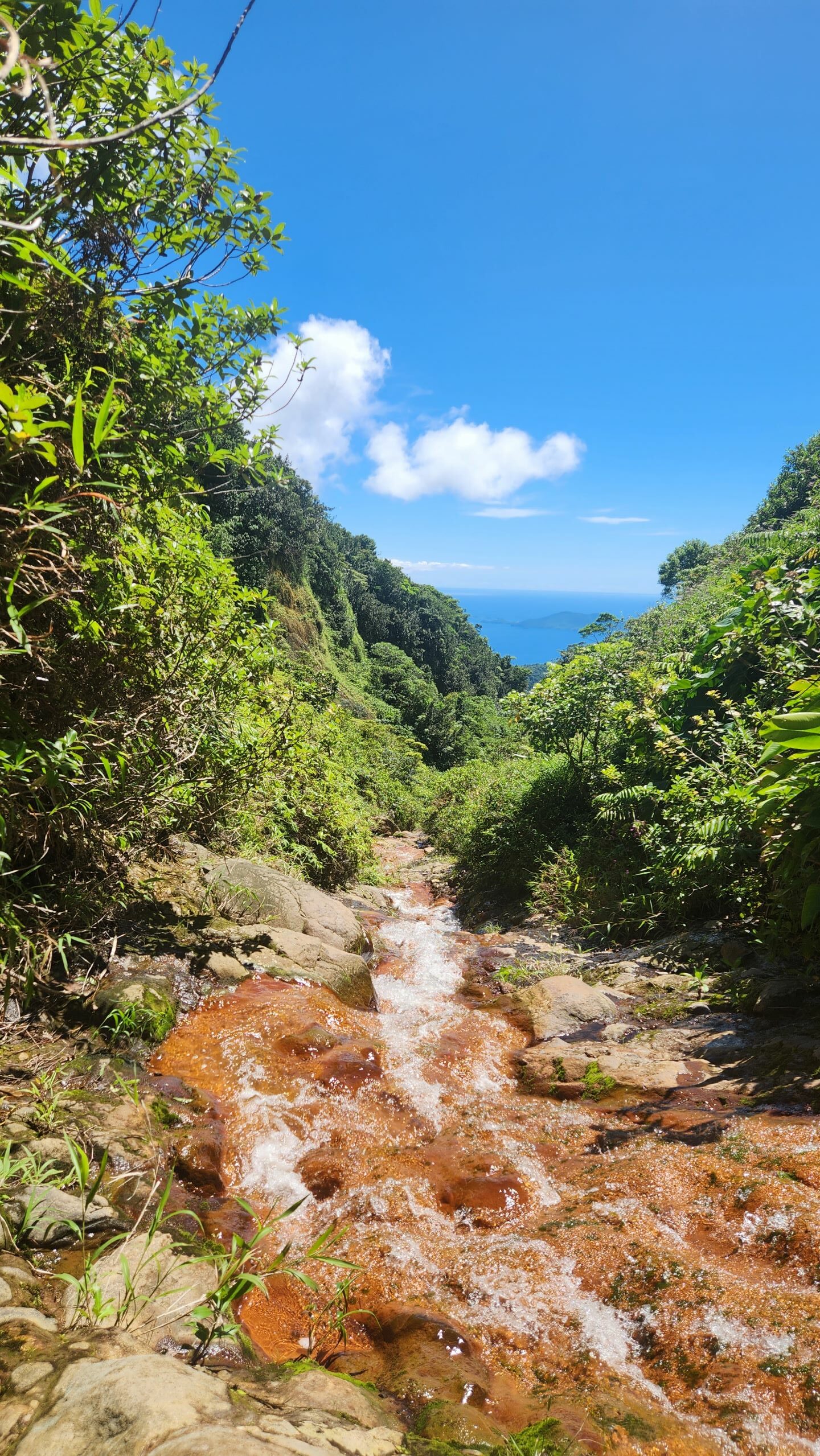 Ravine Blanche und Matilys von Guadeloupe