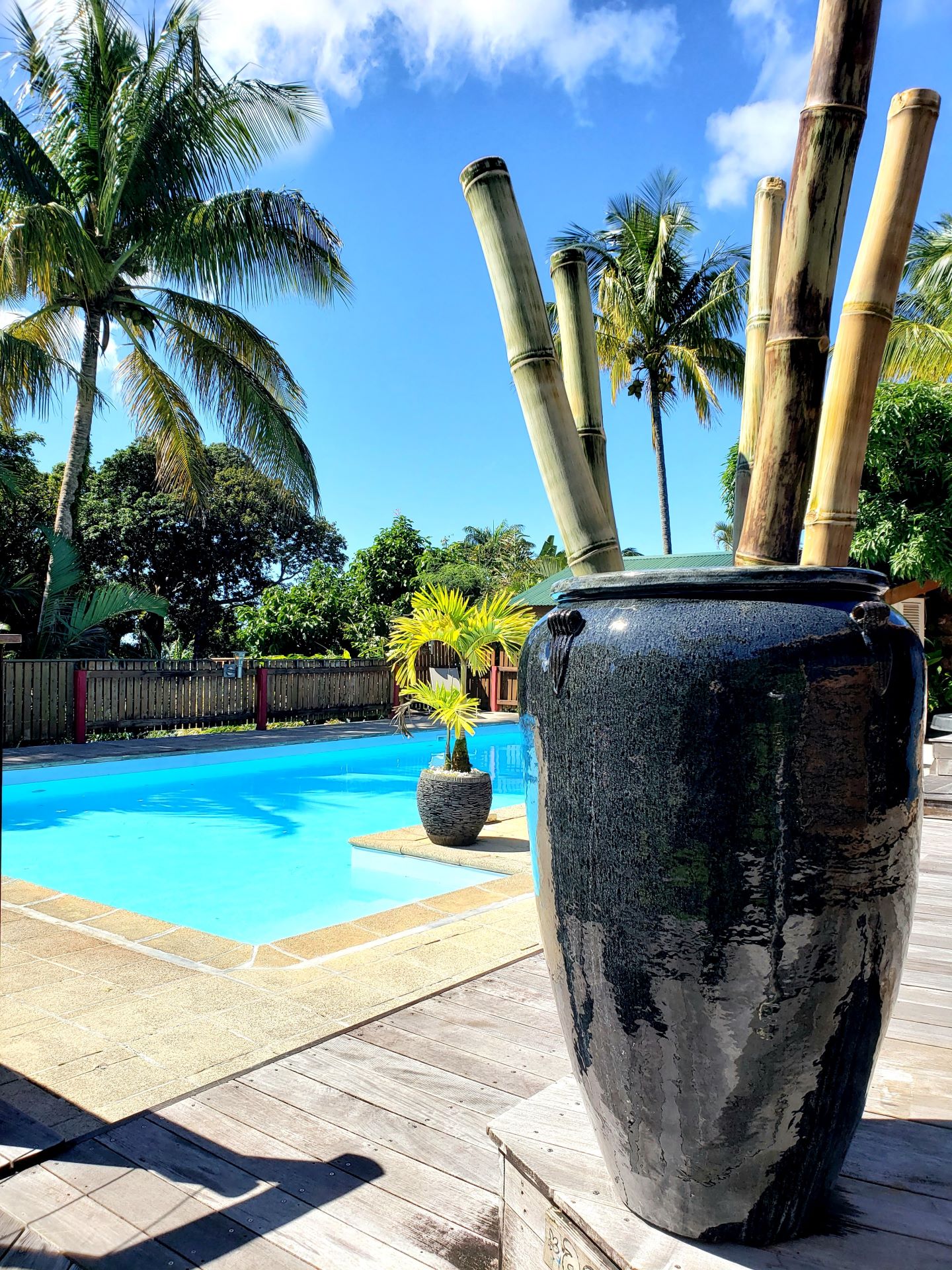 Hébergement insolite en Guadeloupe : les écolodges les Bananes Vertes.