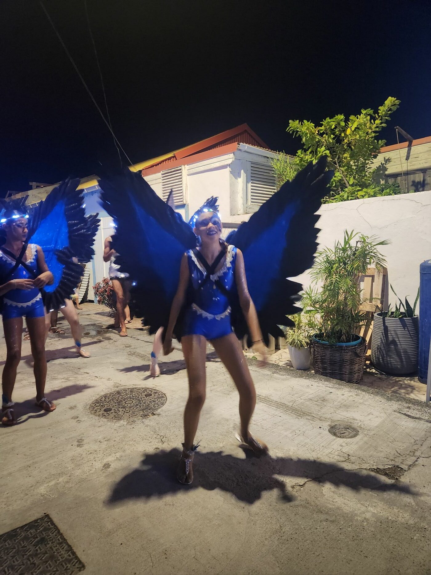 Le carnaval en Guadeloupe